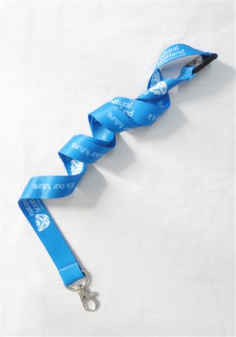 Lanyard
