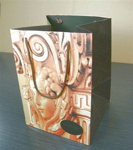 Paper bag
