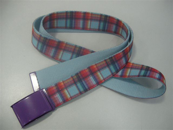 Webbing Belts