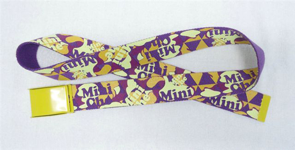 Webbing Belt