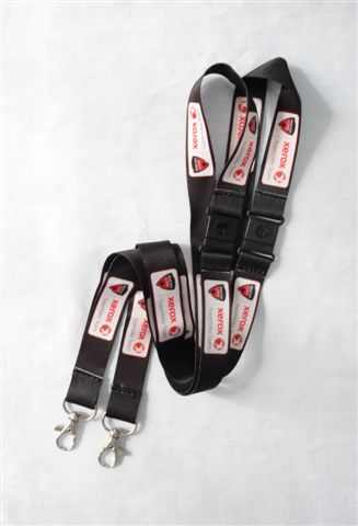 Lanyard