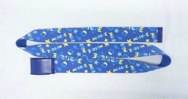 Webbing Belt